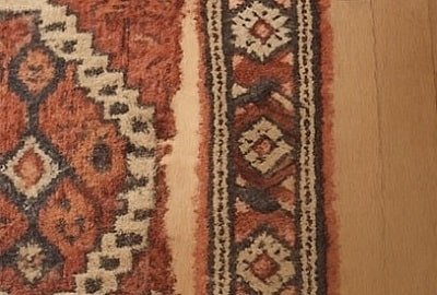 Moth Damage Restoration